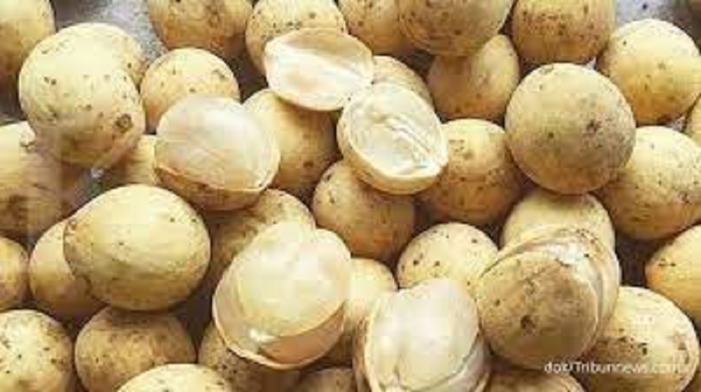 Buah langsat mirip duku. Buah ini memiliki beberapa potensi manfaat bagi kesehatan orang yang mengonsumsinya.