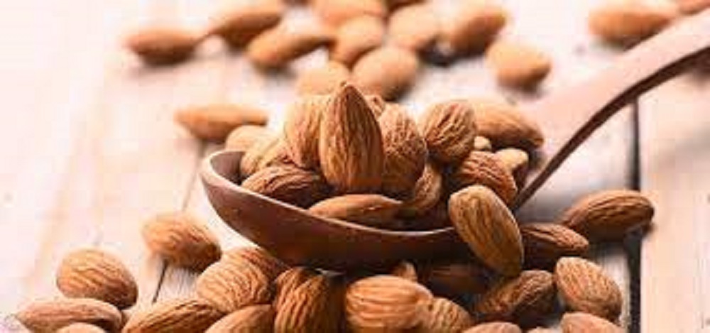 Kacang almond adalah salah satu jenis kacang-kacangan yang telah lama dikenal karena kandungan nutrisi dan manfaatnya bagi kesehatan.