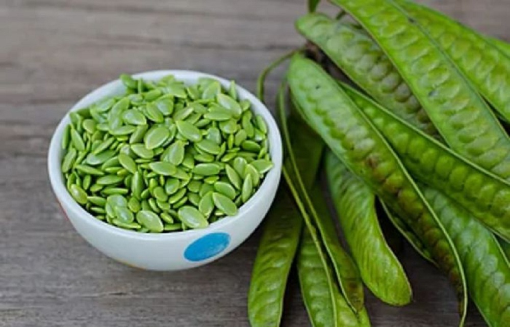Punya kandungan nutrisi yang melimpah, manfaat petai cina untuk kesehatan tubuh pun cukup banyak.
