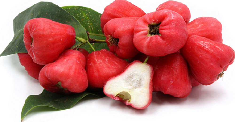 Buah jambu air dengan nama latin Syzygium aqueum ini memiliki segudang manfaat untuk kesehatan.