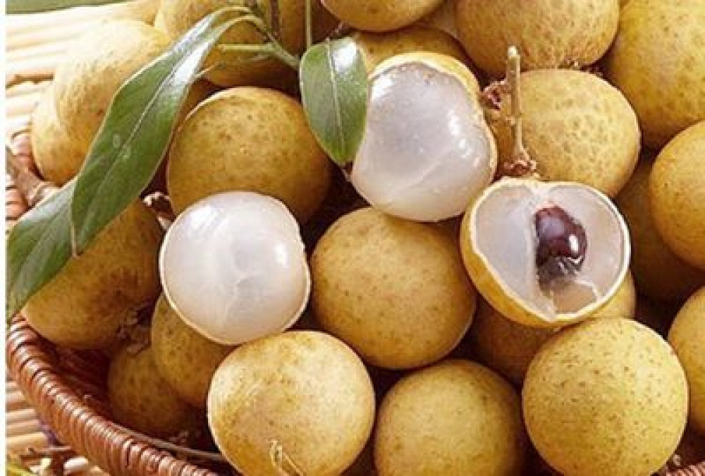 Buah kelengkeng juga memiliki kandungan nutrisi yang melimpah.