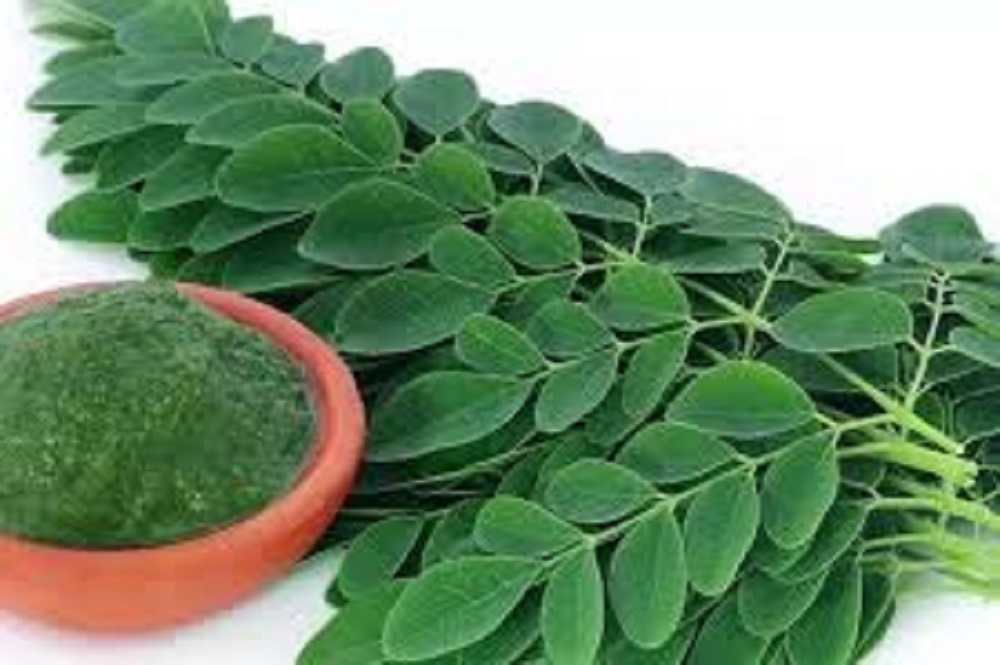 Daun katuk atau Sauropus androgynus dikenal sebagai tanaman yang berkhasiat untuk memperlancar ASI bagi ibu yang sedang menyusui.