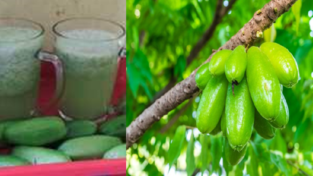 Meski Rasanya Asam Luar Biasa, Konsumsi Belimbing Wuluh Berkhasiat untuk Kesehatan Tubuh dan Kecantikan Kulit Wajah, Buktikan!!