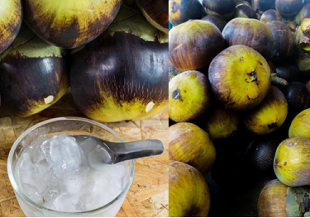 Buah siwalan kaya akan kandungan nutrisi yang baik bagi tubuh.