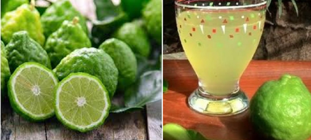 Jeruk purut mengandung alkaloid, sitrolenol, limonene, nerol, dan senyawa organik lainnya yang bersifat antioksidan, antiinflamasi, dan antibakteri sehingga baik untuk kesehatan.