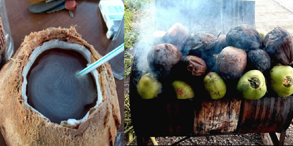 Kelapa bakar memiliki banyak manfaat untuk kesehatan tubuh, baik secara fisik maupun mental.