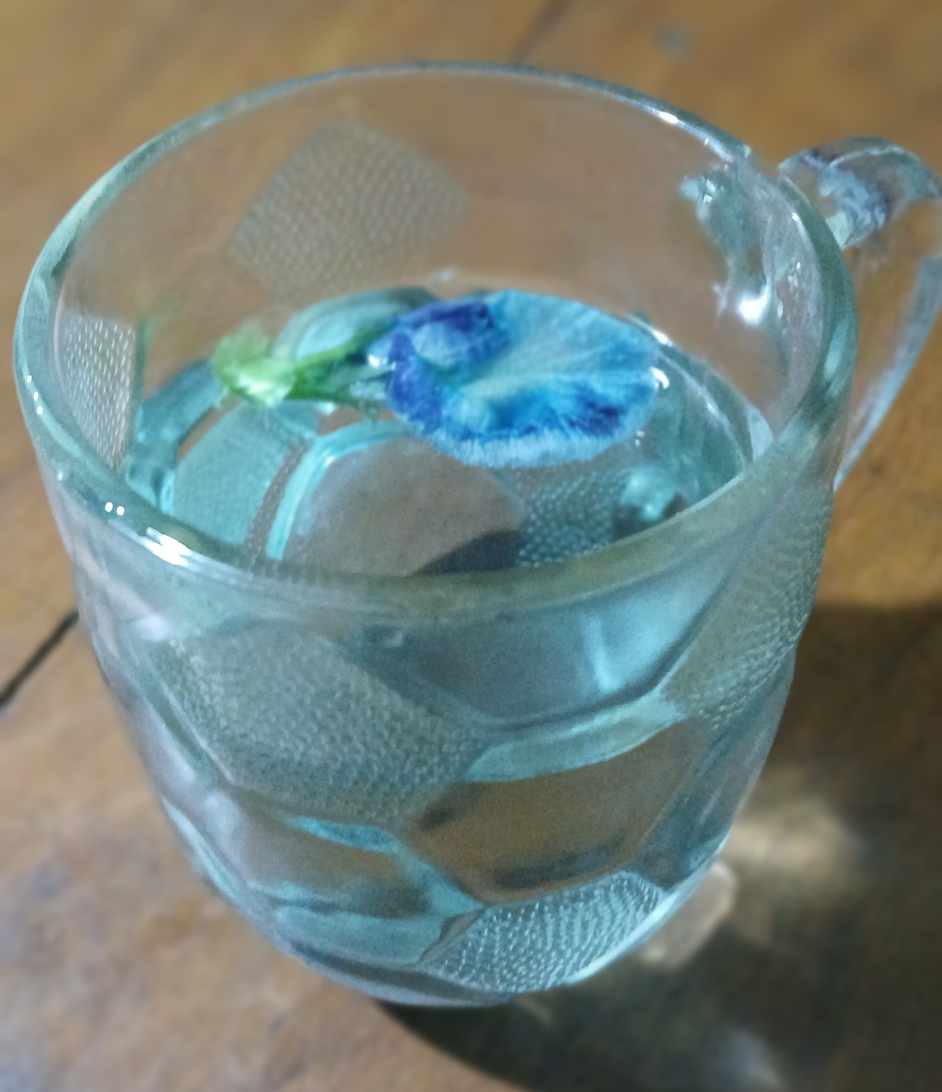 Mengonsumsi bunga telang dengan cara diseduh dengan air panas. Akan muncul warna biru.
