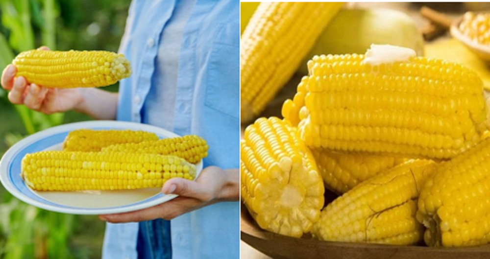 Jagung merupakan tanaman yang dikenal sejak zaman dahulu.  Tidak hanya enak rasanya, tetapi juga menyehatkan.