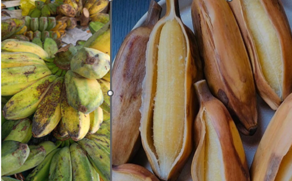 Pisang kepok memiliki kandungan gizi dan khasiat untuk kesehatan tubuh.