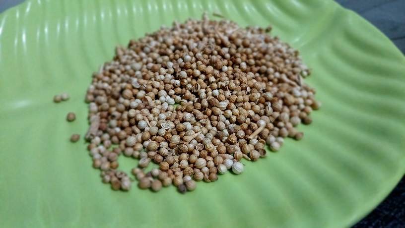 Ketumbar salah satu bumbu rempah yang sehari-hari digunakan untuk memasak ternyata memiliki banyak khasiat untuk kesehatan.