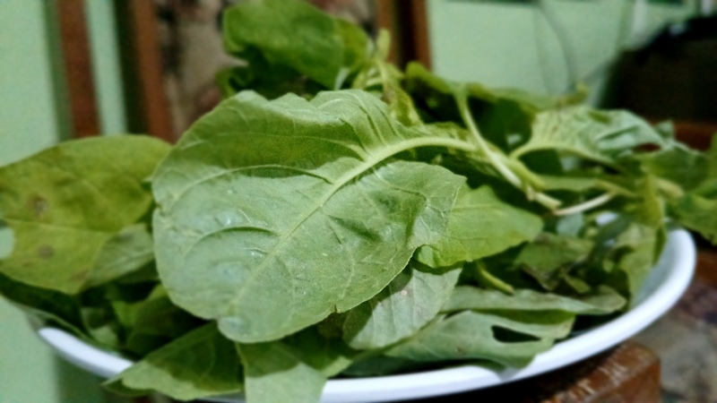 Sayur bayam banyak mengandung zat besi.