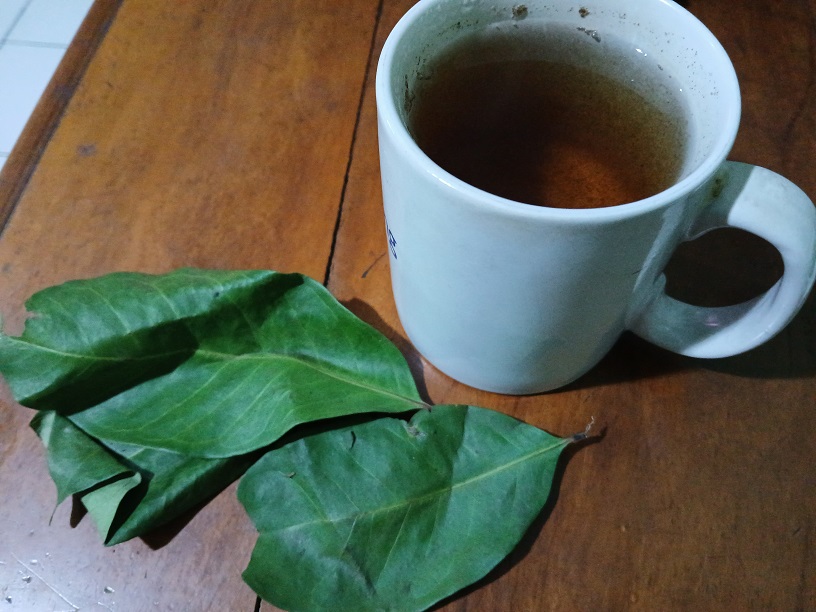Rebusan daun salam bisa menjadi obat herbal. Salah satunya untuk kesehatan rambut.