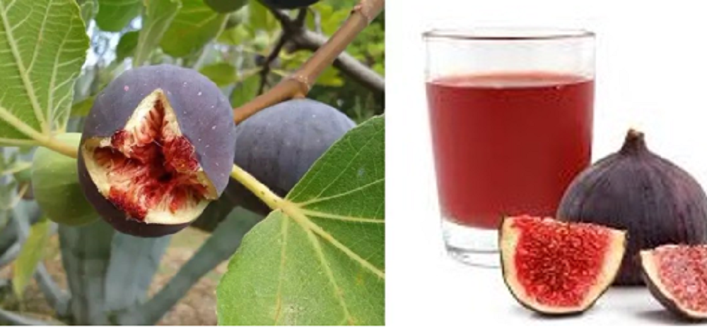 Dalam 100 gram buah tin terkandung sekitar 74 kalori dan beberapa nutrisi yang baik untuk kesehatan tubuh.