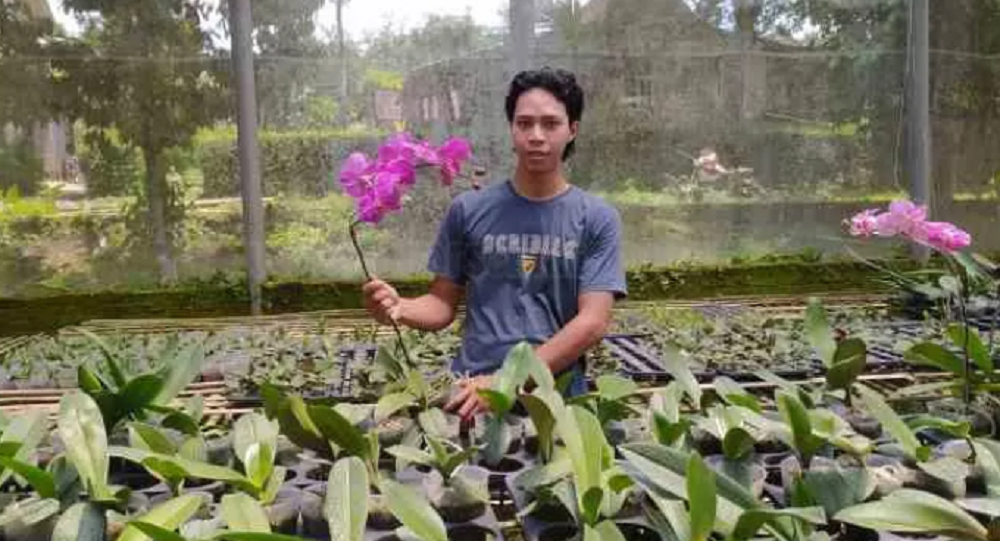 Grahardika Kusuma saat mengecek tanaman anggrek di greenhouse yang dikelolanya di Desa Sidomulyo, Kecamatan Candimulyo, Kabupaten Magelang.
