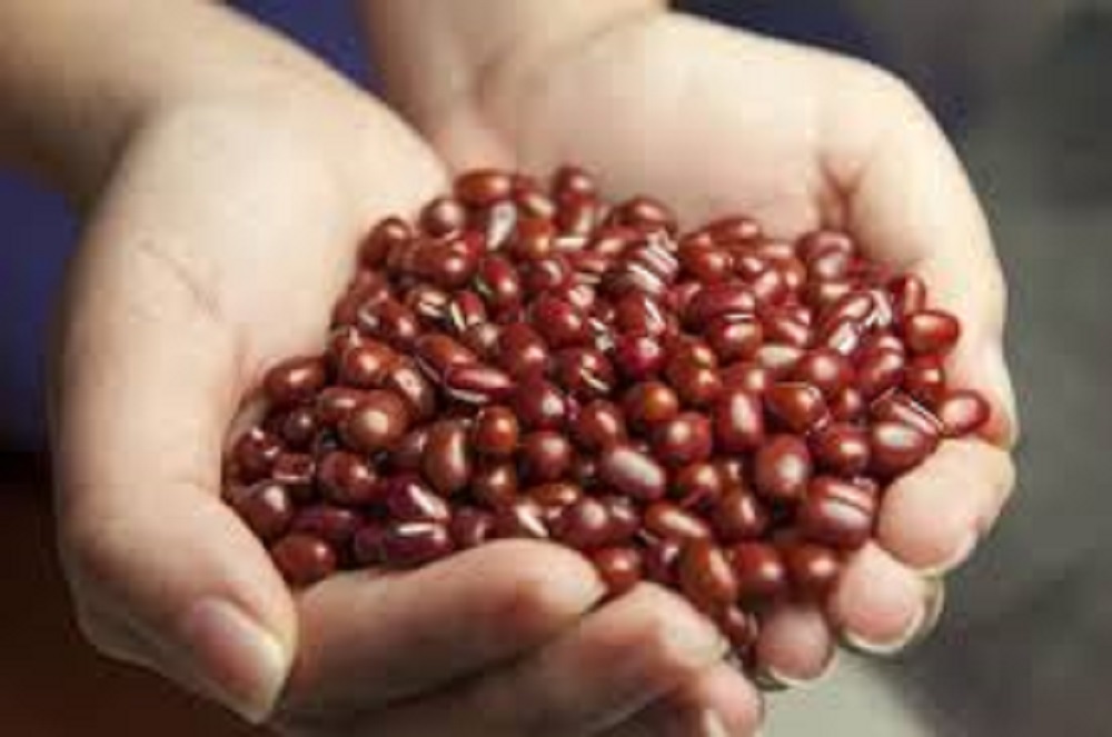 Mengonsumsi kacang merah secara teratur mampu menurunkan risiko terjadinya beragam penyakit berbahaya, seperti penyakit jantung dan diabetes.
