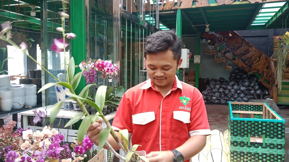 Karyawan Toko Bunga Nambangan Kota Magelang Muhamad Ariyadi menunjukkan anggrek hias yang menjadi tanaman primadona meskipun bermunculan anggrek sintetis dengan berbagai varian dan harga.