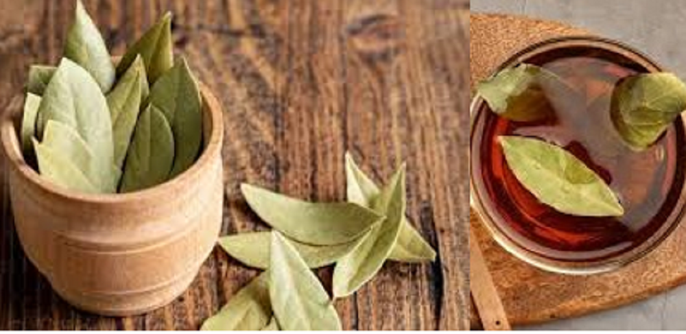 Daun salam kering sering digunakan sebagai bumbu memasak.  Namun di balik hal itu, ternyata daun salam memiliki beragam manfaat kesehatan.