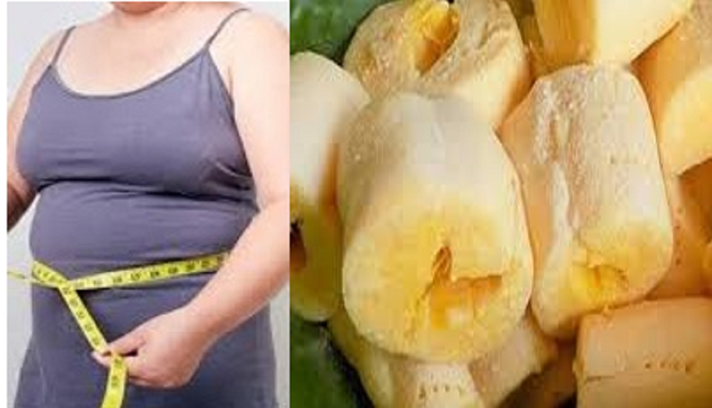 Tape singkong mengandung nutrisi yang beragam dan bermanfaat untuk kesehatan tubuh. Salah satunya untuk diet atau menurunkan berat badan.