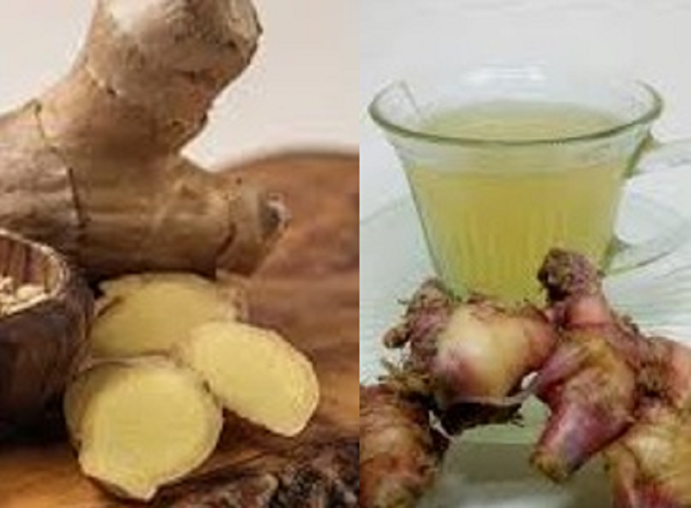 Lengkuas atau laos bumbu, selain menjadi bumbu masakan, juga bermanfaat bagi kesehatan tubuh. Ini terjadi berkat kandungan baik di dalamnya.