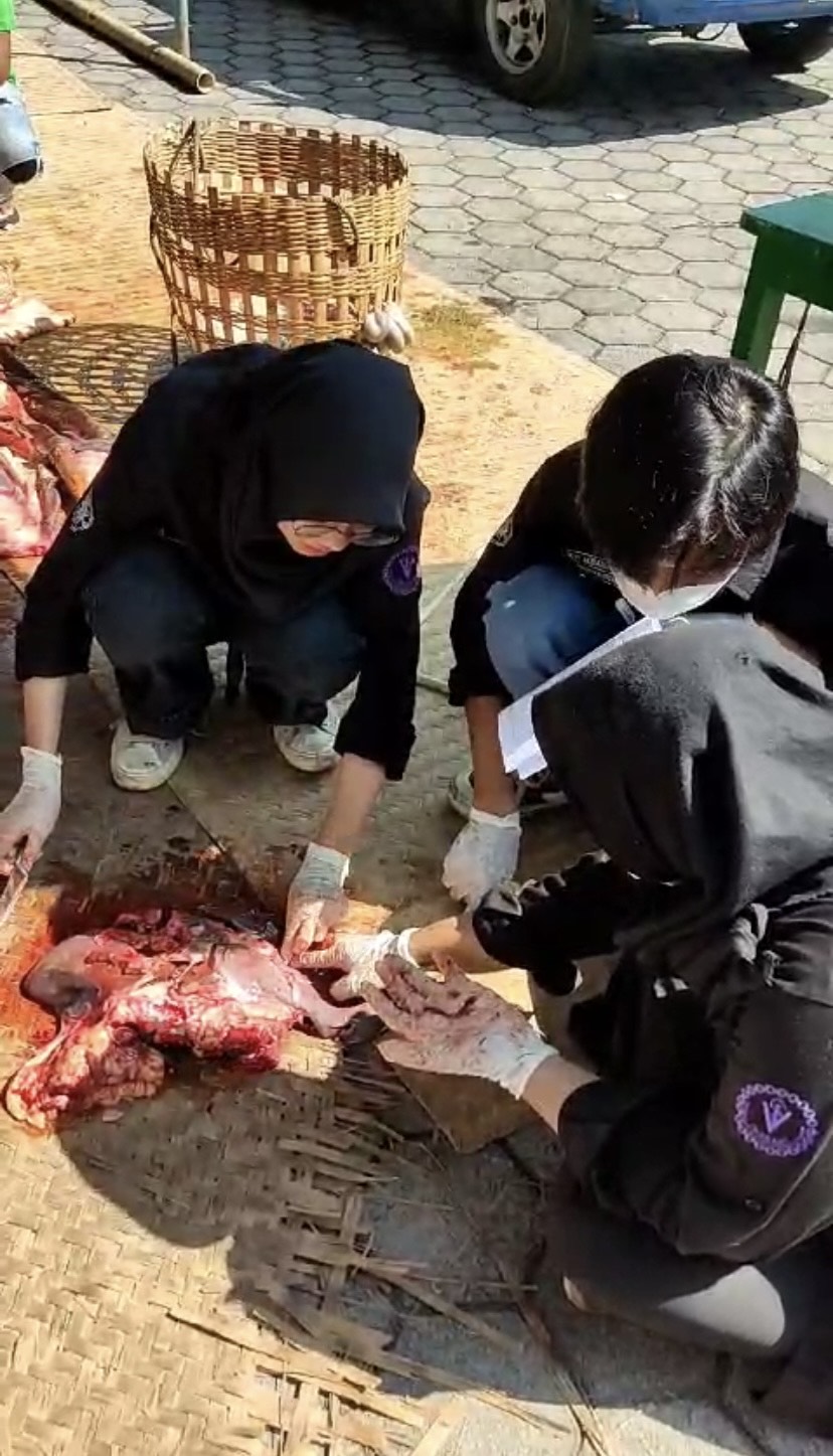 Petugas memantau daging kurban yang disembelih Senin (17/6/2024).