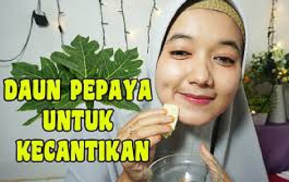 Kandungan alami dalam daun pepaya mampu menyamarkan flek hitam secara bertahap sehingga wajah mulus bebas flek hitam.