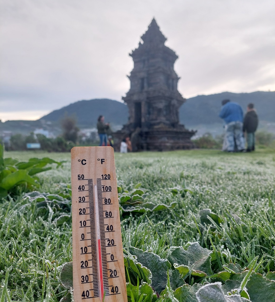 : Embun membeku yang dikenal dengan nama embun upas muncul di komplek Candi Arjuna Dieng Rabu (19/6/2024) dini hari.