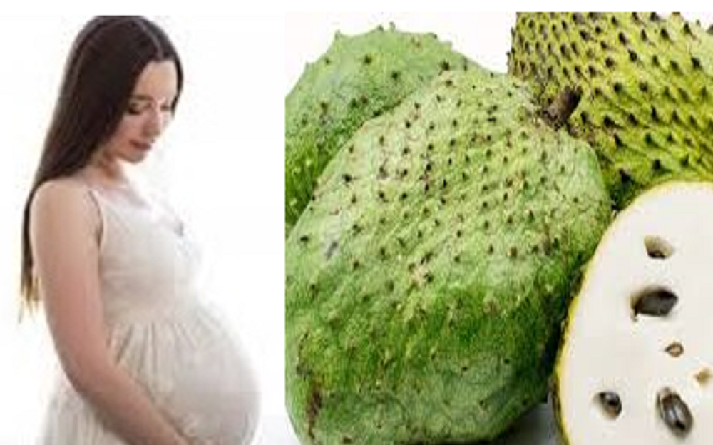 Ada berbagai manfaat dari buah sirsak untuk kesehatan ibu hamil (bumil) yang jarang diketahui banyak orang.