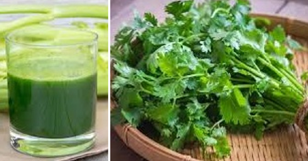 Kandungan nutrisi daun seledri antara lain protein, serat, karbohidrat, antioksidan, vitamin A, vitamin C, vitamin K dan lainnya.