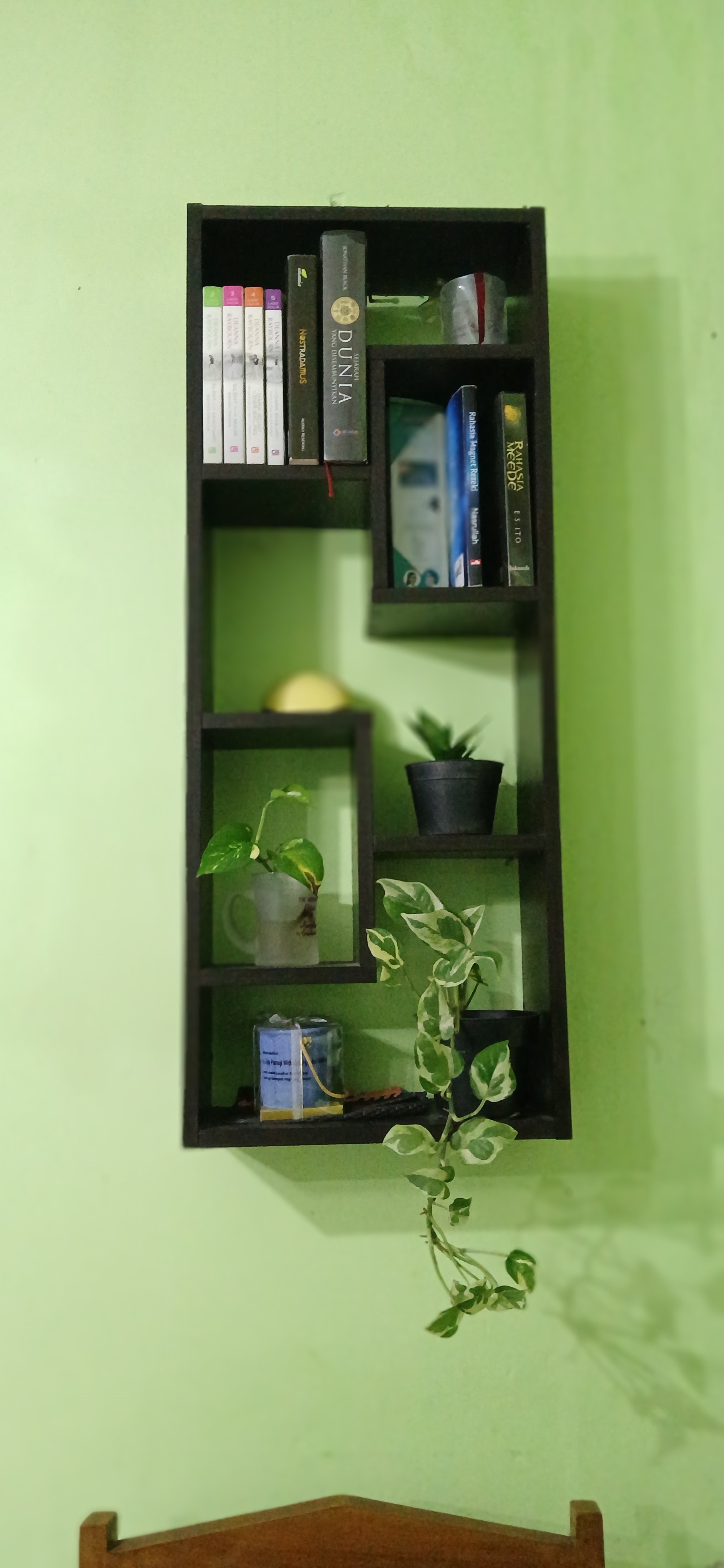 Sirih gading sangat cantik diletakkan dalam ruangan.