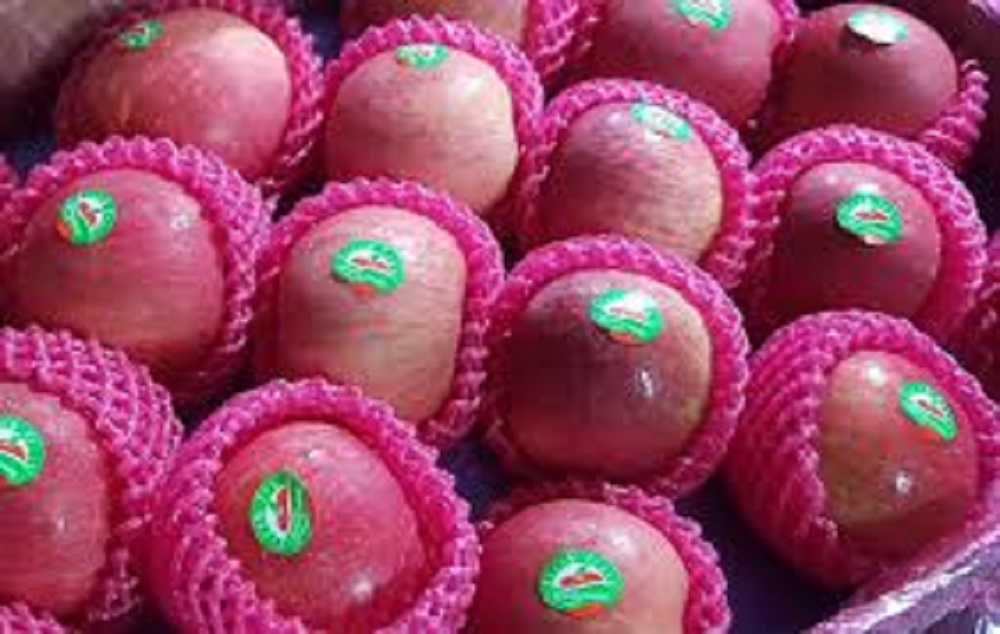 Tak hanya lezat dan menyegarkan, buah apel fuji diketahui mengandung beragam nutrisi yang baik bagi tubuh dan kesehatan kulit.