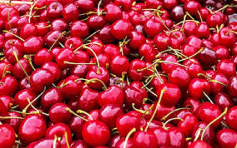 Bukan hanya karena warna dan tampilannya yang cantik, buah ceri mengandung berbagai zat gizi yang baik untuk kesehatan.