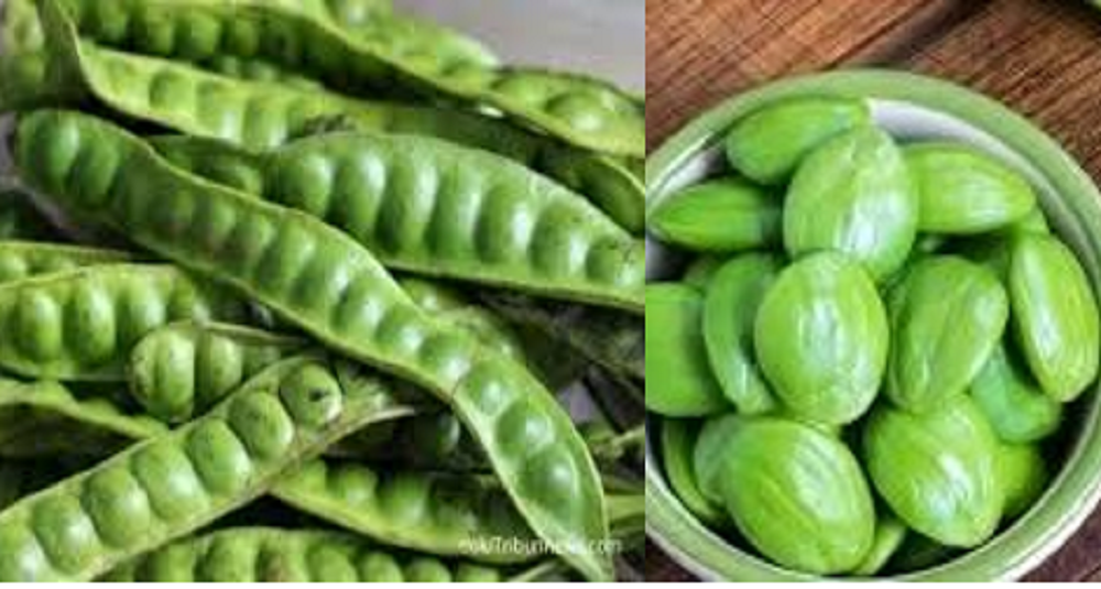 Petai atau Parkia speciosa yang tergolong sebagai sayuran juga dapat dimanfaatkan sebagai obat herbal tradisional di beberapa negara.