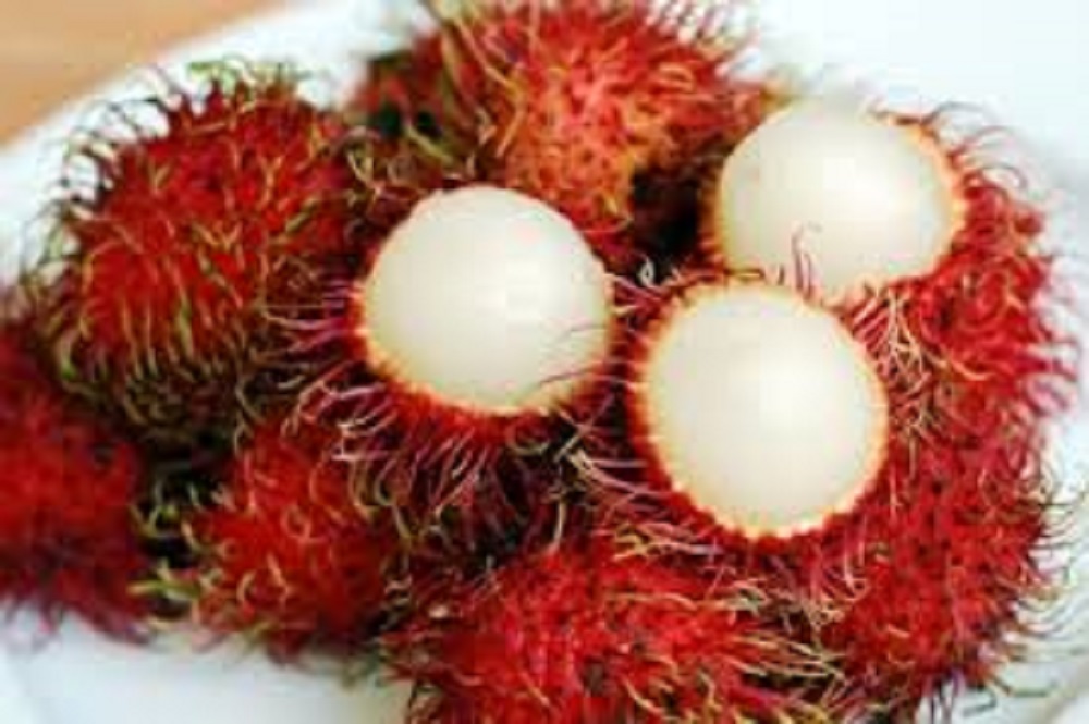 Buah Rambutan mengandung sejumlah nutrisi penting seperti vitamin C, serat, dan antioksidan yang bermanfaat bagi kesehatan tubuh.