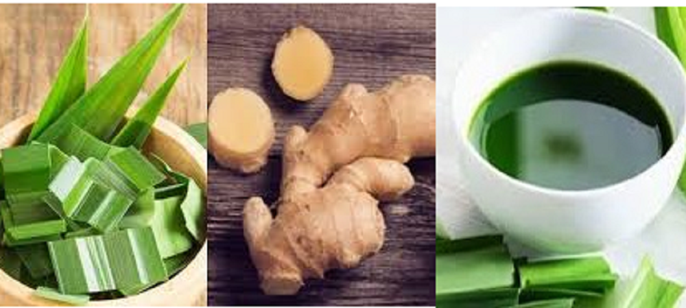 Daun pandan dan jahe dua bahan alami ini kaya khasiat untuk kesehatan. Bila keduanya digabungkan, maka manfaatnya sangat menakjubkan, bahkan bisa ketagihan karena khasiatnya.