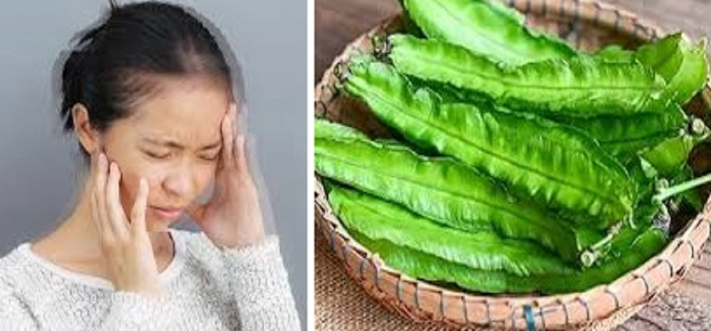 Tidak hanya memiliki kandungan nutrisi yang luar biasa, hampir semua bagian tanaman kecipir ini dapat dimanfaatkan sebagai sumber gizi. Salah satunya untuk mengatasi sakit kepala atau migrain.