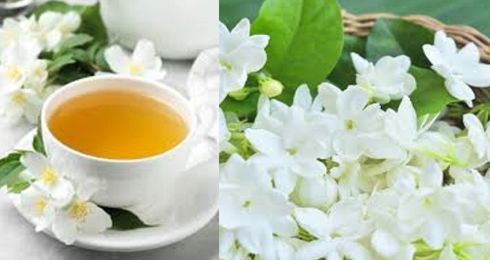 Bunga melati (Jasminum) memang lebih dikenal sebagai tanaman hias, tapi bunga ini juga digunakan untuk pengobatan herbal beberapa penyakit.