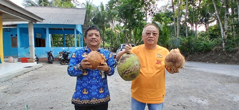 Profesor Hengky Novarianto (kanan) peneliti BRIN dan Widiarto Trisaksono Kabid Perkebunan Distan Pangan Kabupaten Magelang menunjukkan kelapa upat-upat asli dari Banyuadem, Srumbung.