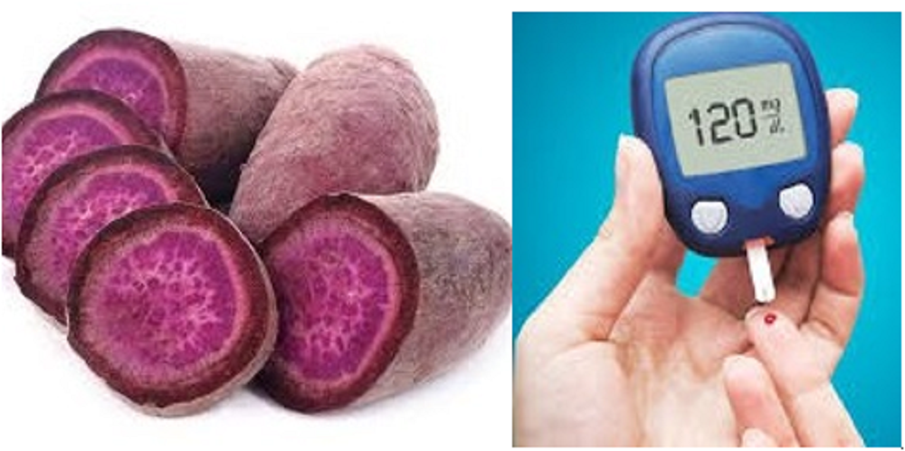 Kandungan ubi ungu yang kaya akan serat, vitamin, dan mineral membuatnya menjadi pilihan yang baik untuk dikonsumsi dan menyehatkan.