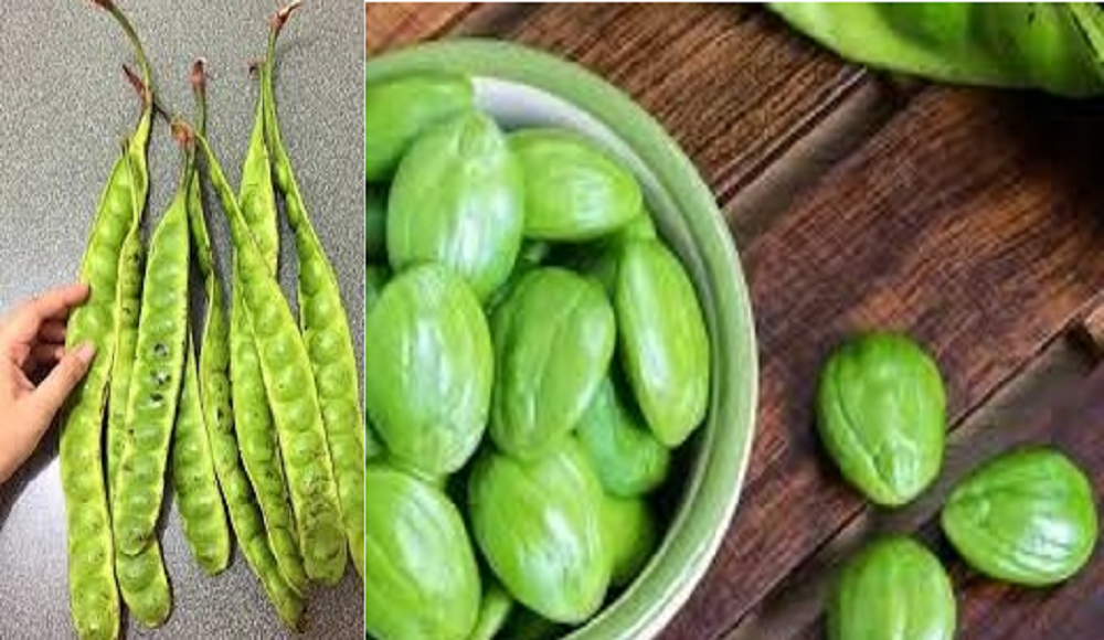 Buah petai atau pete kaya akan nutrisi seperti vitamin C, kalium, dan serat yang baik untuk tubuh.