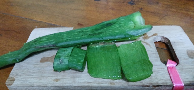 Lidah buaya banyak digunakan untuk industri kecantikan.