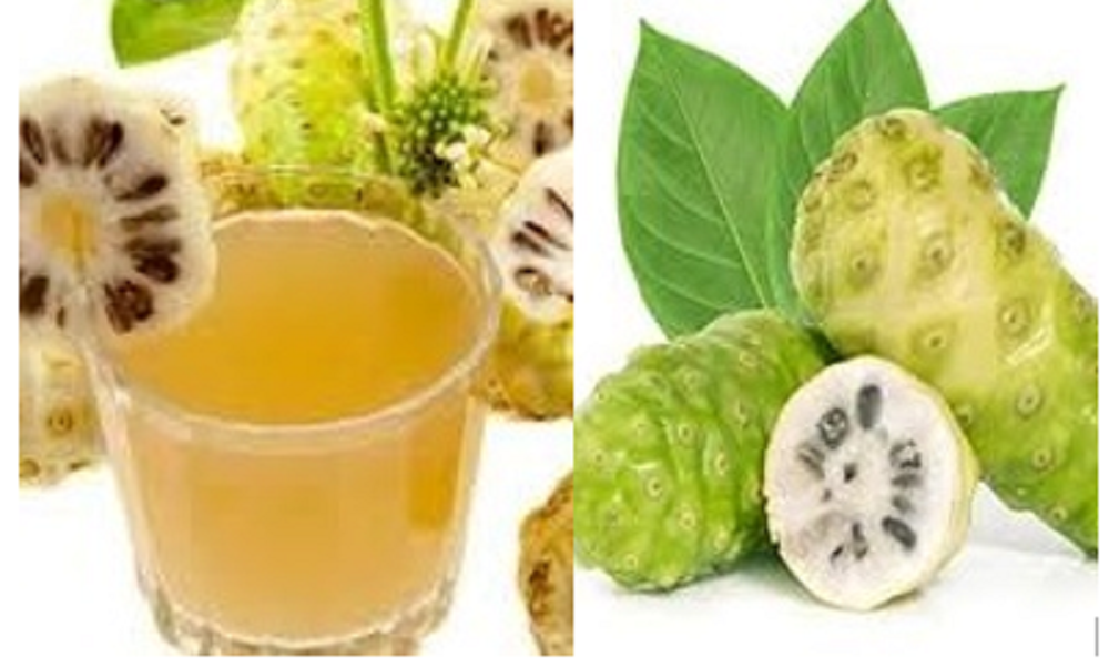 Buah pace atau buah mengkudu  telah menjadi bagian integral dari pengobatan tradisional di berbagai budaya.