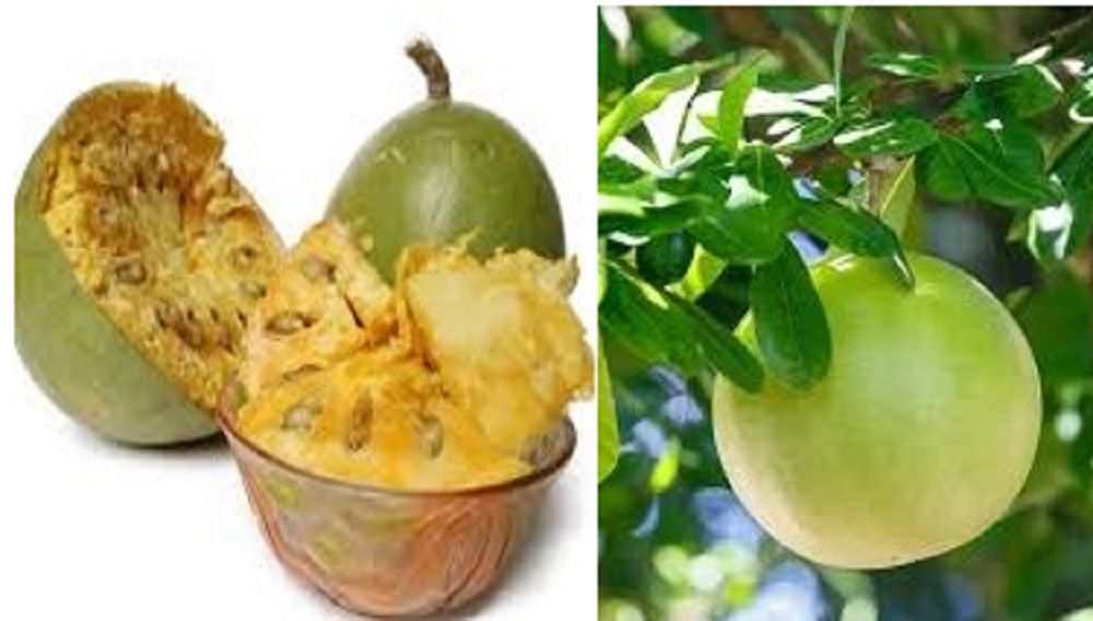 Ekstrak buah, daun, dan biji maja dapat memberikan manfaat kesehatan tertentu.