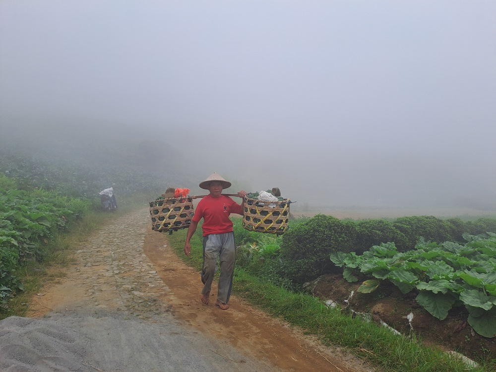 Petani sayuran melintas di Kawasan Blumbang Roto, Desa Adipuro, Kaliangkrik, Kabupaten Magelang.