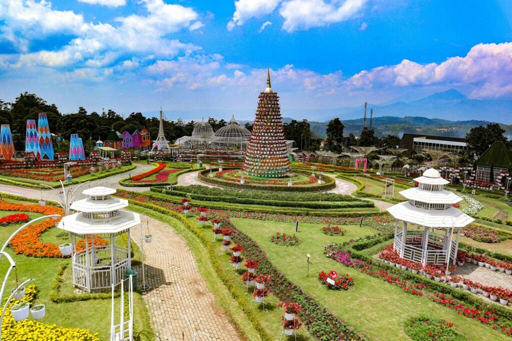 Taman Bunga Celosia di Jalan Candi Gedong Songo, Kecamatan Bandungan, Kabupaten Semarang.