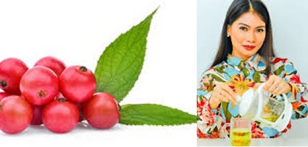 Buah dan daun kersen diyakini dapat menurunkan kadar asam urat. Buah kersen dapat meredakan rasa nyeri, termasuk nyeri akibat asam urat.