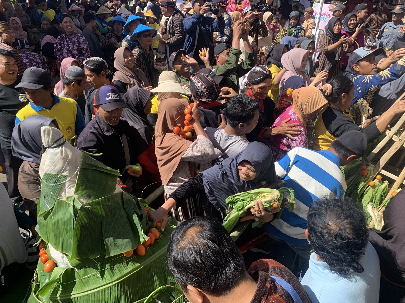 Warga Kecamatan Bulu, Temanggung  memperebutkan gunungan berisi buah dan sayuran dalam acara merti bumi, Kamis (15/8/2024).