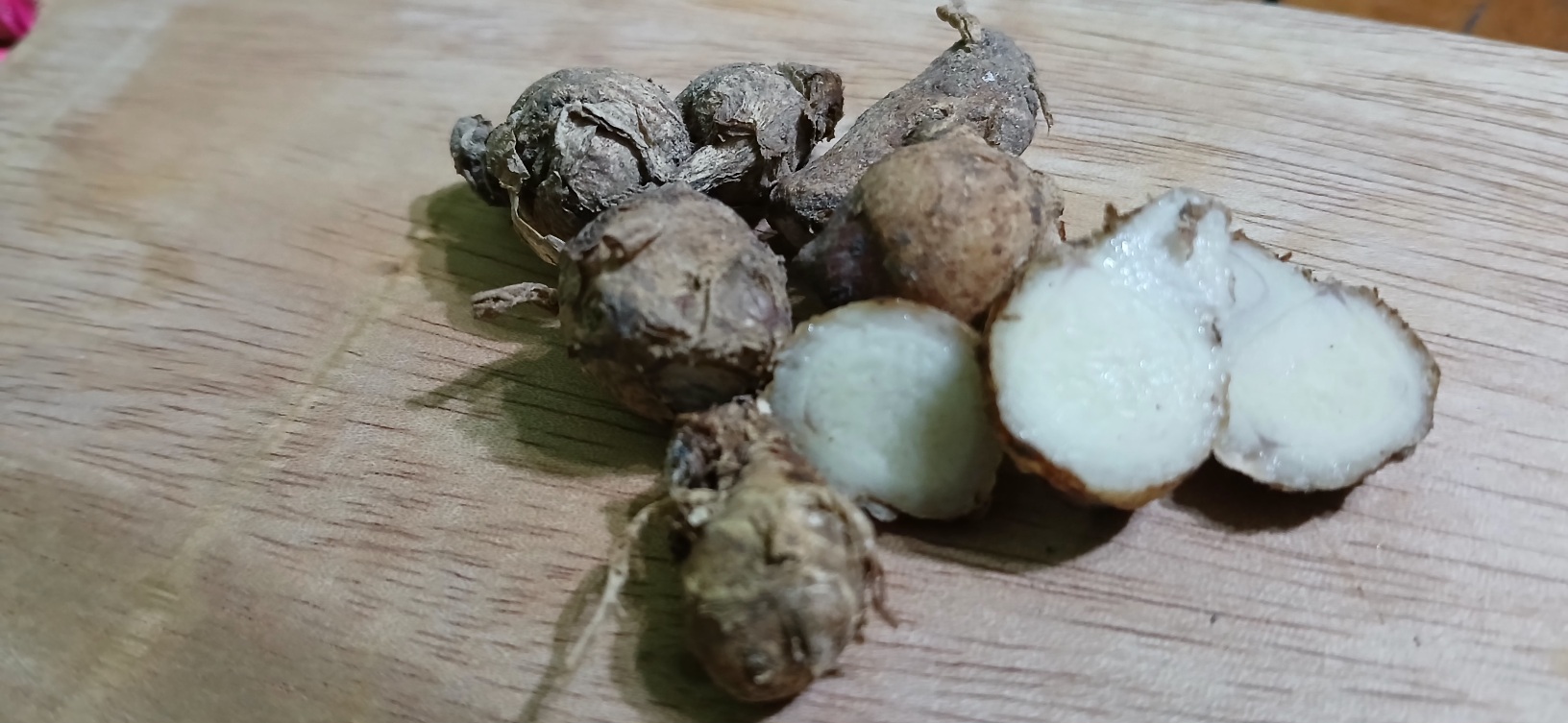 Kencur adalah tanaman herbal yang memiliki banyak khasiat untuk kesehatan.