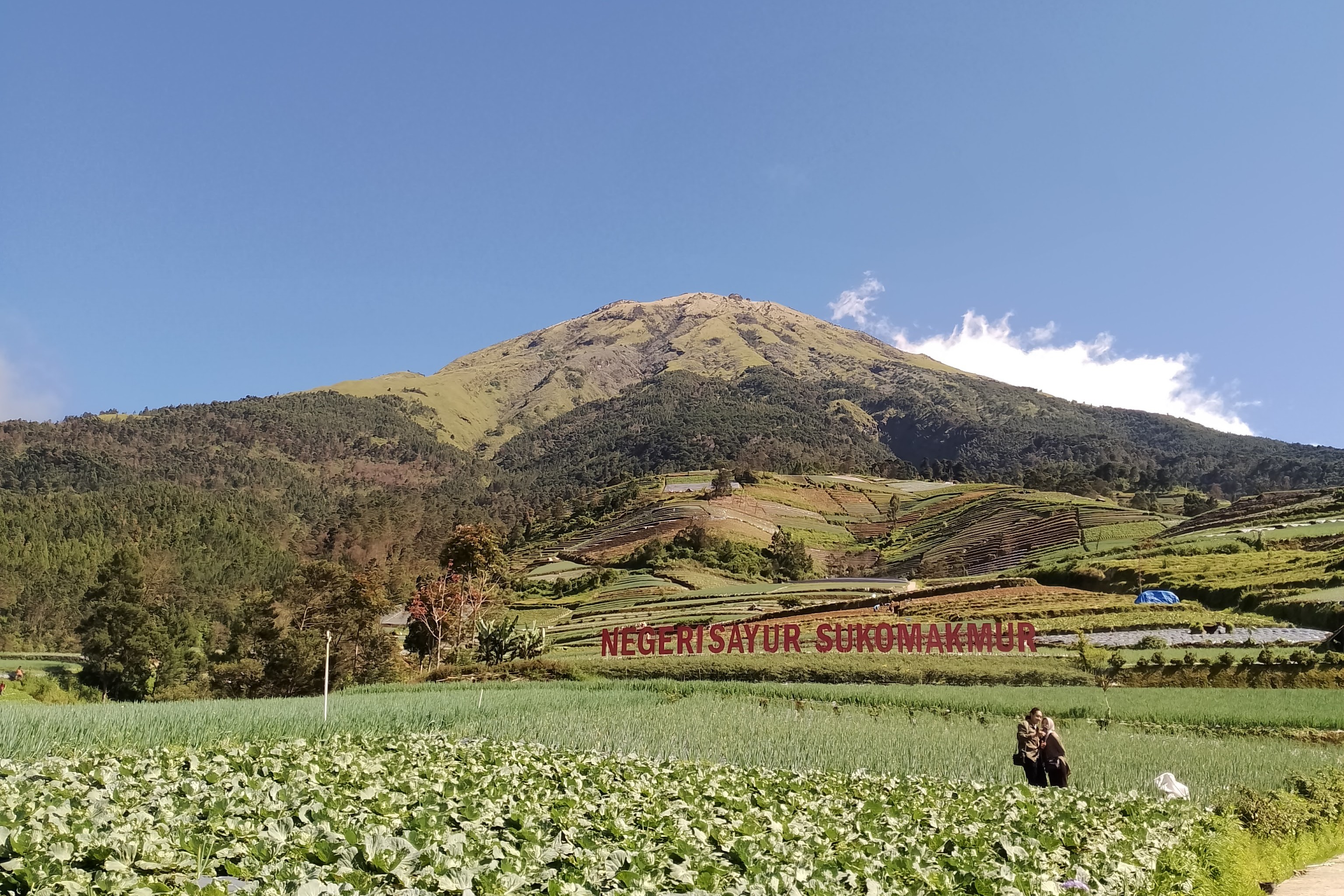 Wisata alam Negeri Sayur Sukomakmur berada di Desa Sukomakmur Kecamatan Kajoran, Kabupaten Magelang.