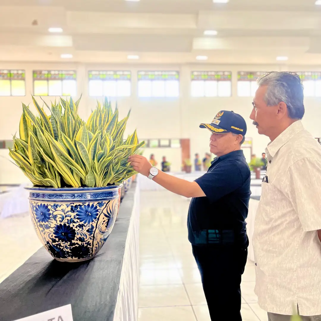 Wakil Bupati Muhammad Albar meninjau tanaman sansevieria dalam Kontes Nasional Sansevieria di gedung Sasana Adipura kemarin (1/9/2024).