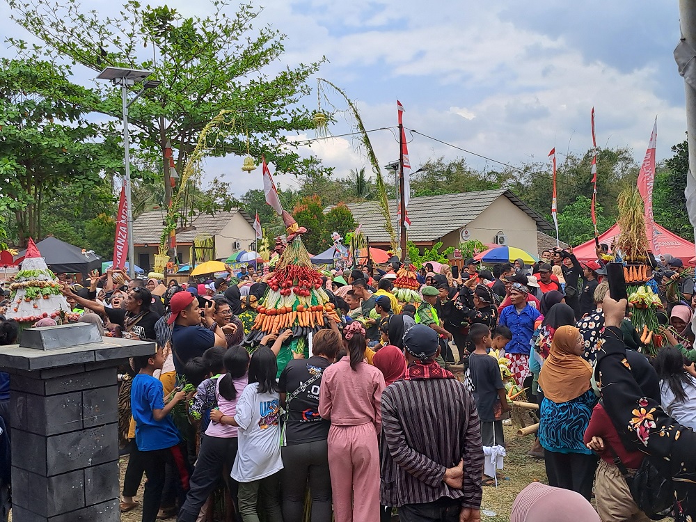 Warga berebut gunungan saat merti desa di halaman Kantor Kelurahan Banjarnegoro, Kecamatan Mertoyudan, Kabupaten Magelang, Minggu (8/9/2024).